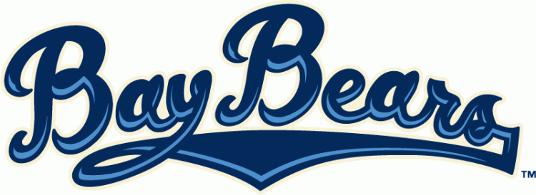 Mobile BayBears 2010-Pres Wordmark Logo iron on heat transfer